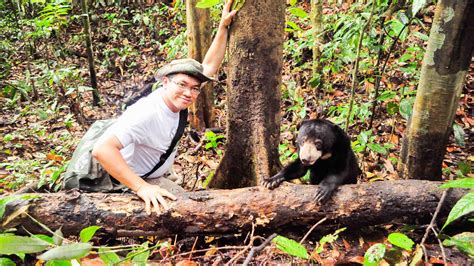 This conservationist wants to save the world’s tiniest bear | Adventure.com