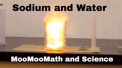 Fine Beautiful Sodium With Cold Water Equation Alberta Physics 30 Formula Sheet