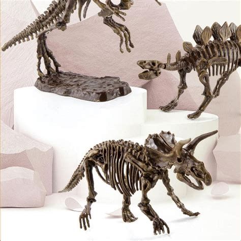 Dinosaur Fossil Digging Kit - Dzordz Shop