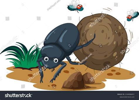 Dung Beetle Cartoon Character Illustration Stock Vector (Royalty Free) 2144996657 | Shutterstock