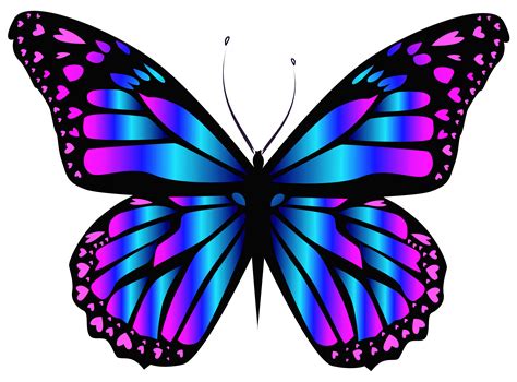 Butterfly Wings Clipart at GetDrawings | Free download