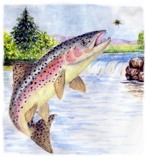 Rainbow trout are generally feeding on underwater food, living on or near the weed at the bottom ...