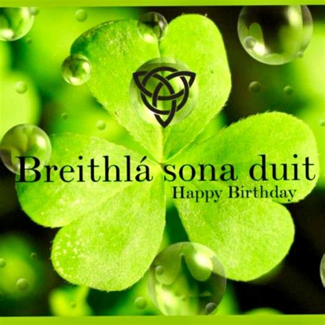 Irish 40th Birthday Quotes - ShortQuotes.cc