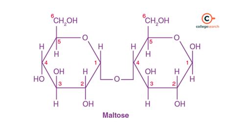 Maltose Structure: Formula, Properties, Production and Uses of C12H22O11 | CollegeSearch