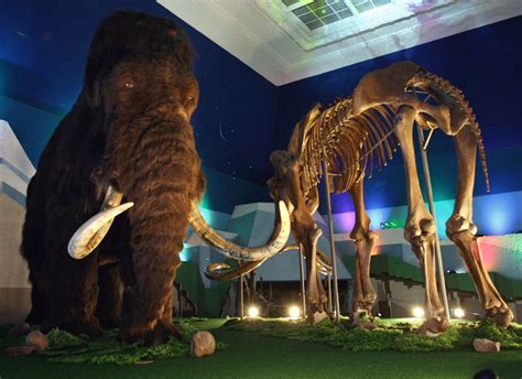 What's the difference between a mammoth and a mastodon? | Mammoth ...