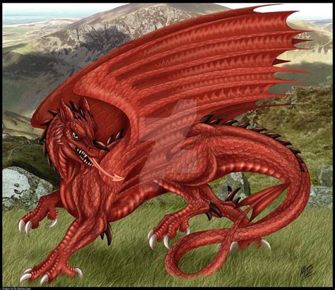 Welsh Dragon by DrakainaQueen on DeviantArt