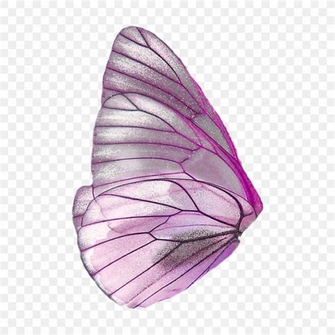 Butterfly Fairy Wings Clip Art, PNG, 2896x2896px, Butterfly, Butterfly ...