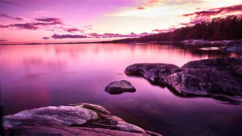 Purple sunset by the lake - backiee