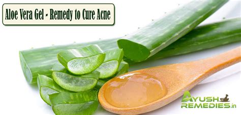 13 Most Effective Home Remedies for Acne You Must Try