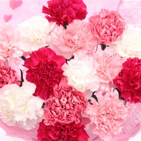 Carnation Bouquet