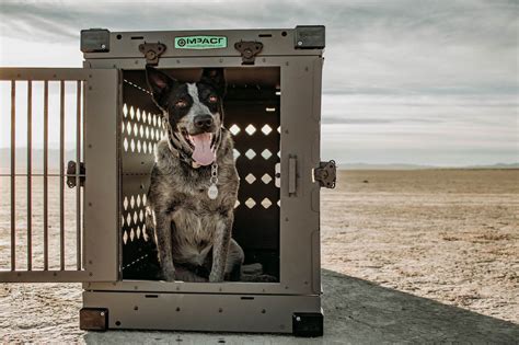 Impact Dog Crates | Strong & Safe Aluminum Dog Crates – ImpactDogCrates.com