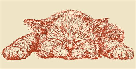 Drawing Of The Cat Laying Down Illustrations, Royalty-Free Vector Graphics & Clip Art - iStock