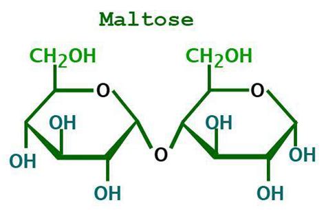 Maltose Formula - Structure, Properties, Uses, and FAQs