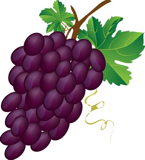 Grapes free to use clip art – Clipartix