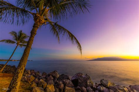 Hawaii Purple Sunset Beach / Amazon Com Purple Sunset Beach Palm Tree ...