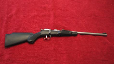 Henry Mini Bolt 22 LR Youth Rifle for sale at Gunsamerica.com: 903430752