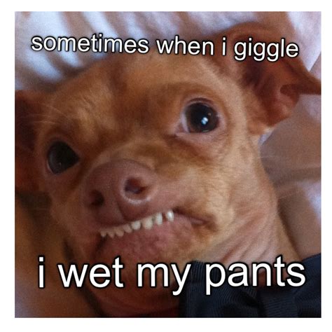 Scary Dog Meme | Unnerving Images for Your All