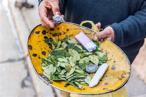 Tobacco and the Origins and Domestication of Nicotiana