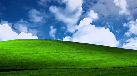 Microsoft Windows Wallpaper