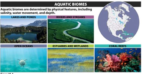 AP Environmental Science Terrestrial and Aquatic Biomes Flashcards | Quizlet