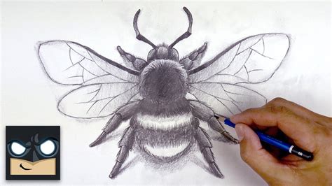 Cute Bee Drawing Realistic - art-puke