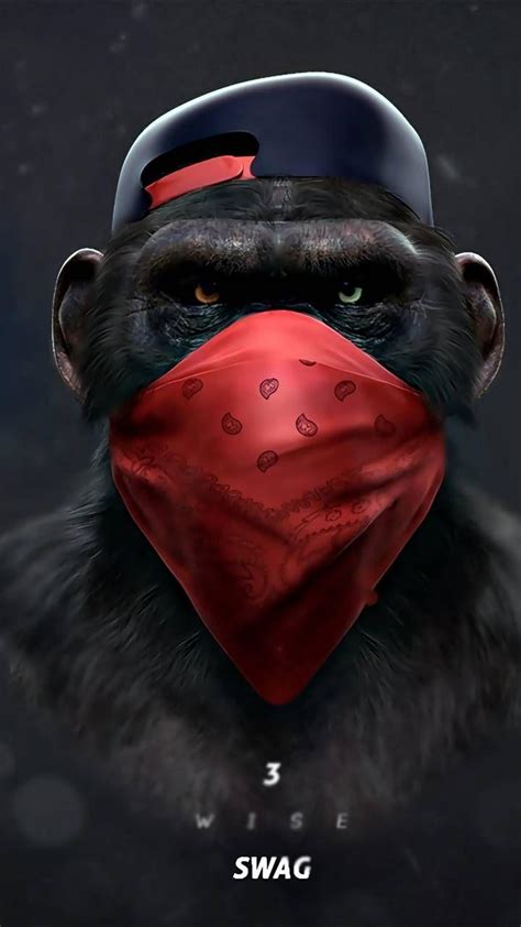 Monkey Swag Wallpapers - Top Free Monkey Swag Backgrounds - WallpaperAccess