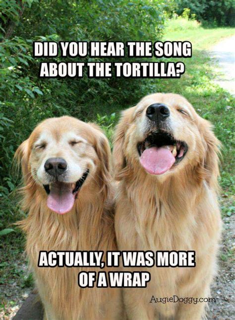 Pin by Sharee Tongue on Funny! | Funny animal jokes, Dog jokes, Cheesy jokes