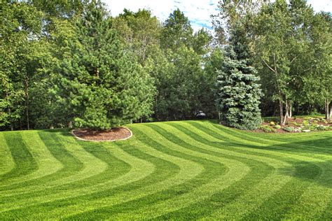 cropped-LAWN_STRIPES_2.jpg – Custom Lawn Care