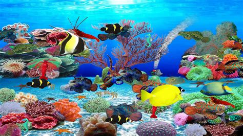 Free download fish aquarium screensaver - imaginelasopa