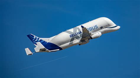 Some Interesting Facts About The Huge Whale-Shaped Airbus Beluga