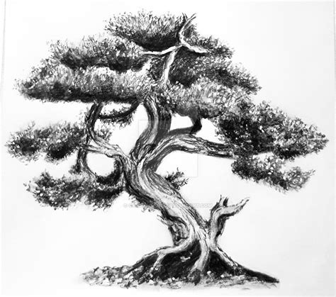 Bonsai Tree Sketch by CarlaSimone on DeviantArt