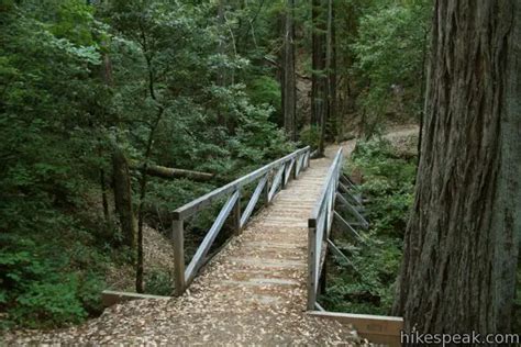 Woodland Trail | Richardson Grove Redwoods State Park | Hikespeak.com