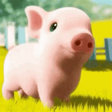 Mini Pig Smile GIF - MiniPig Smile Cute - Discover & Share GIFs