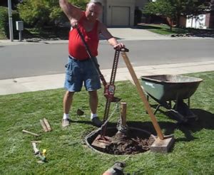 Homemade Tree Root Removal Method - HomemadeTools.net