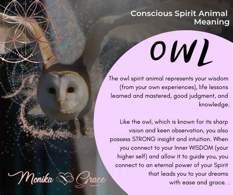 Spirit Animal meaning: The Wise Owl 🦉🦉🦉 | Owl spirit animal, Spirit animal meaning, Spirit animal