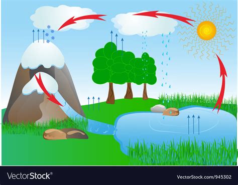 Water cycle Royalty Free Vector Image - VectorStock