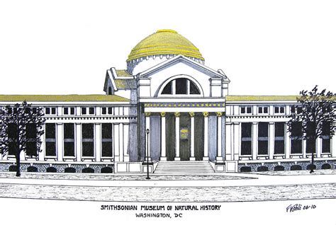 Smithsonian Museum Of Natural History Drawing by Frederic Kohli