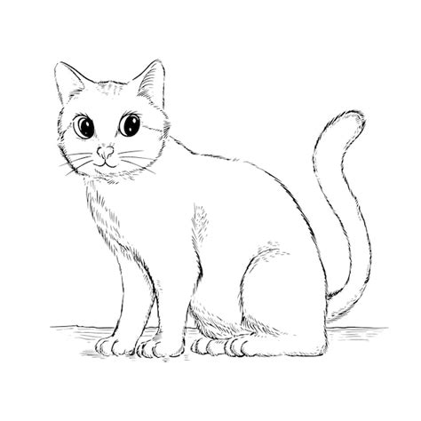 Cat Drawing Images - Free Download on Freepik