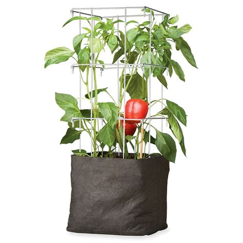 Grow Bags - Tomatoes, Peppers, Herbs and Potatoes | The Green Head