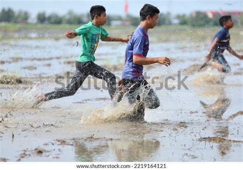 Ayer Hitam Kedah Malaysiaoctober 24 2022 Stock Photo 2219164121 | Shutterstock