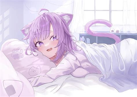 Anime Anime Girls Cat Girl Cat Ears Cat Tail Purple Hair Wallpaper - Resolution:3541x2508 - ID ...