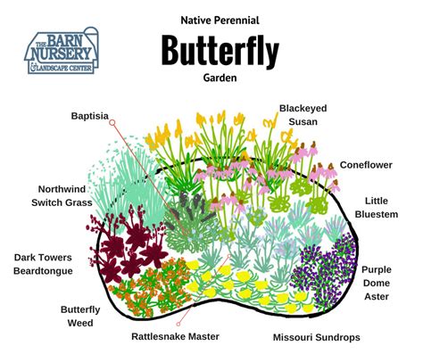 Butterfly Garden Designs - Butterfly Mania