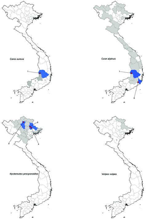 Current and former distribution, by province, of the four wild canid... | Download Scientific ...