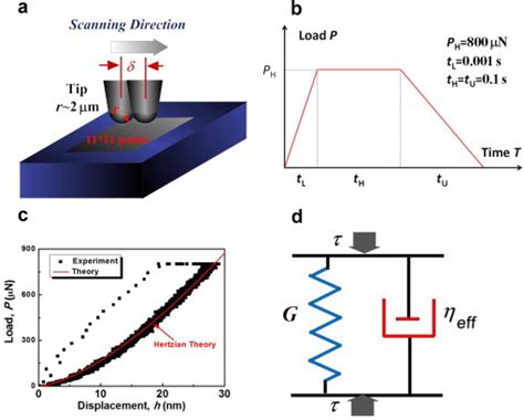 Structure Heterogeneity in Metallic Glass: Modeling and Experiment