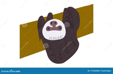 Sloth Hanging Upside Down Cartoon Illustration Stock Vector - Illustration of sweet, wildlife ...