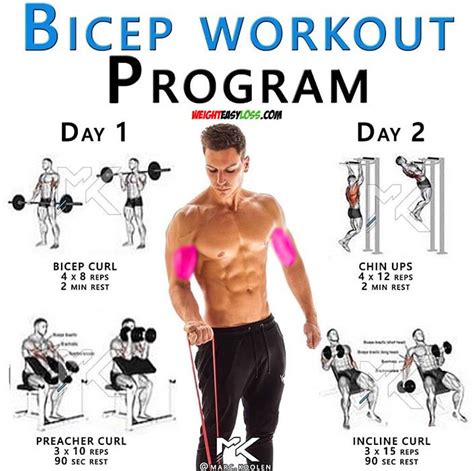 Biceps & Triceps Tutorial