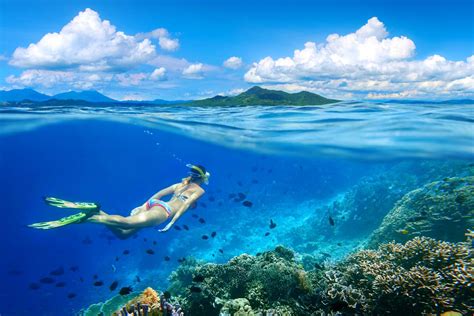 The 10 Best Snorkeling Tours On Oahu, Hawaii | TouristSecrets