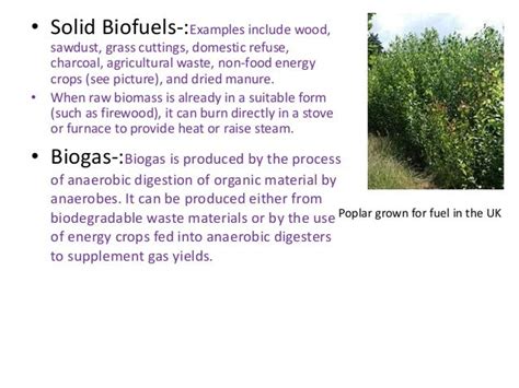 Biofuel as source of clean and green energy