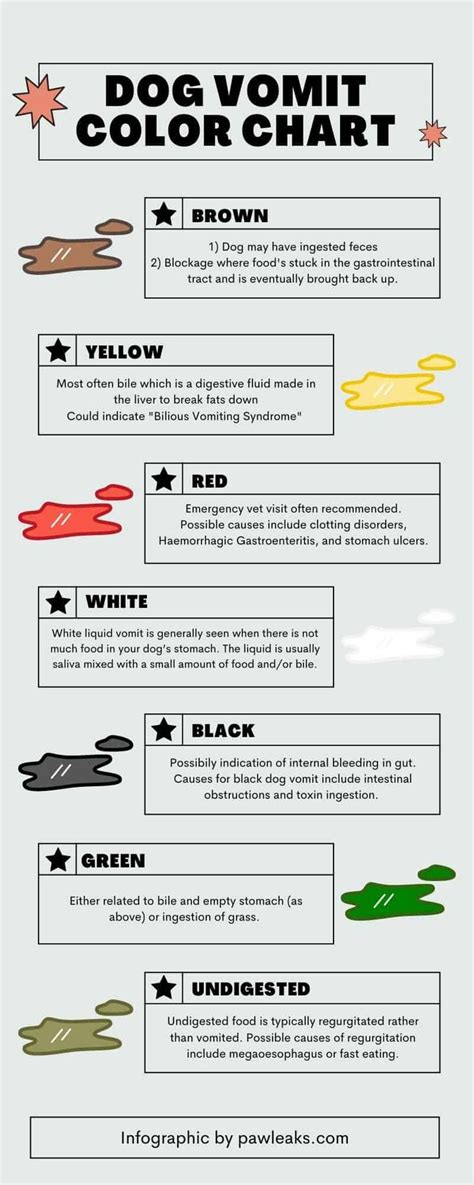 Dog Vomit Color Guide - Identify Health Issues