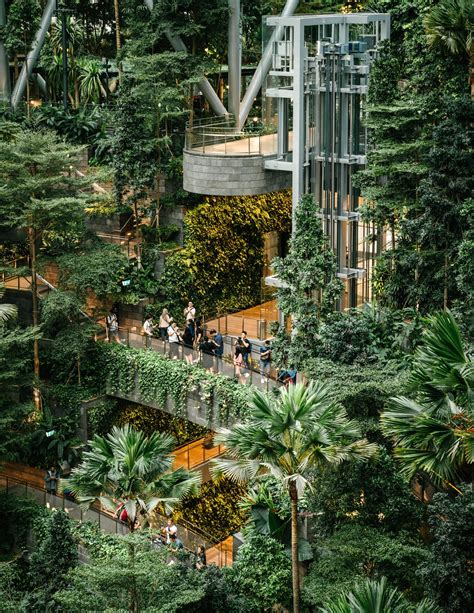 The Shiseido Forest Valley in the Jewel complex is one example of the gardens and greenery one ...